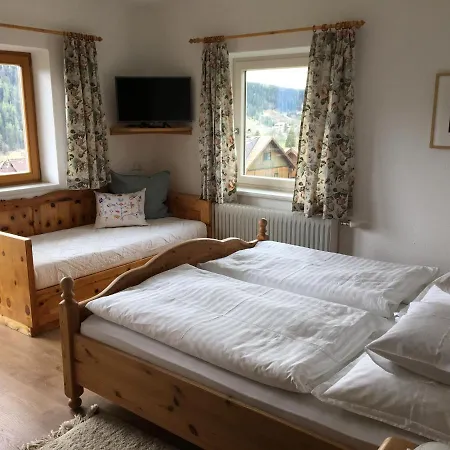 Haus Werner Apartment Ramsau am Dachstein